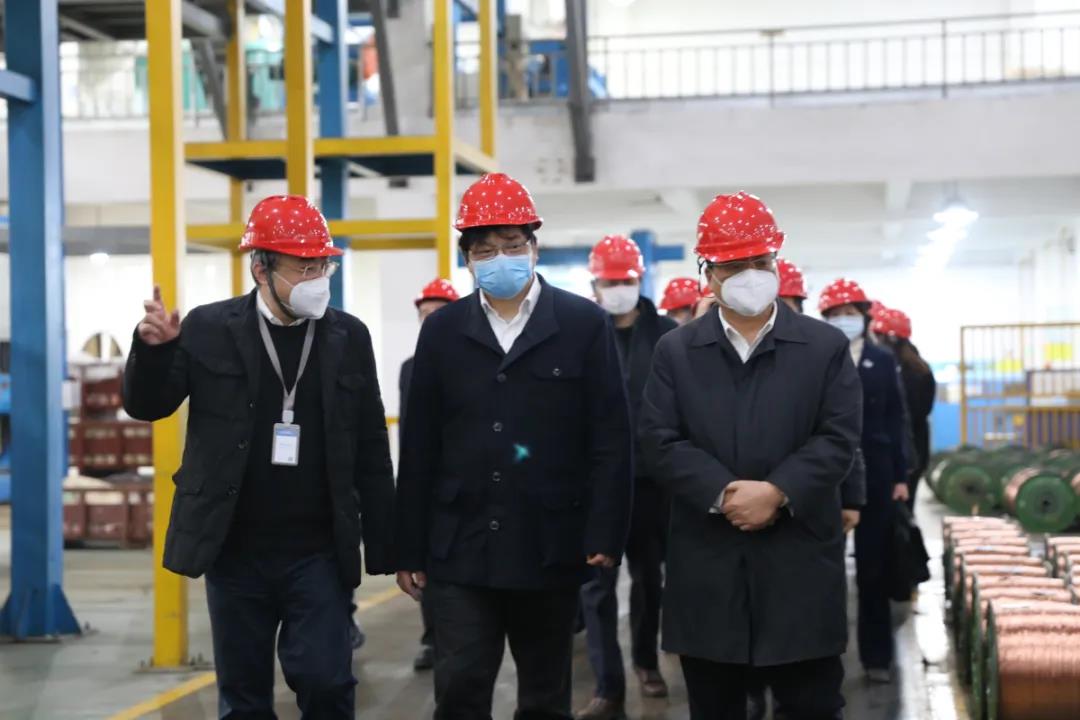 省委組織部副部長胡旭陽一行赴浙江中大元通特種電纜有限公司開展 “三服務(wù)”活動(dòng) 調(diào)研指導(dǎo)疫情防控和復(fù)工復(fù)產(chǎn)